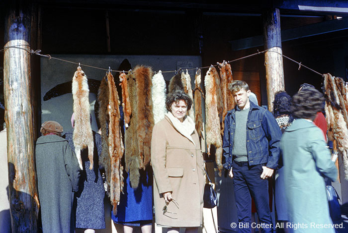 Furs Furs