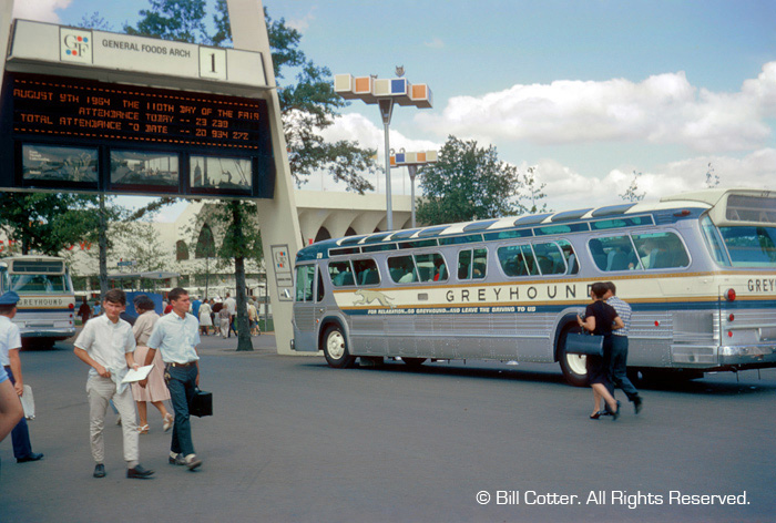 Greyhound bus Greyhound bus