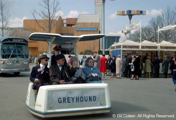Greyhound Escorter Greyhound Escorter