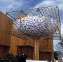 641P2 - American Express "Money Tree"