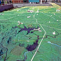 641X2 - Oklahoma Relief Map
