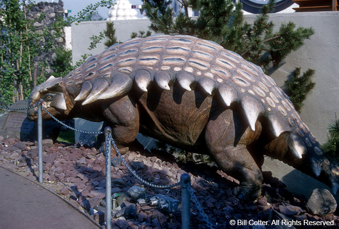 Ankylosaurus