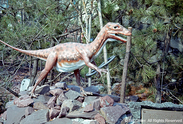 Ornitholestes