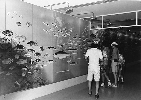 International Pavilion #3