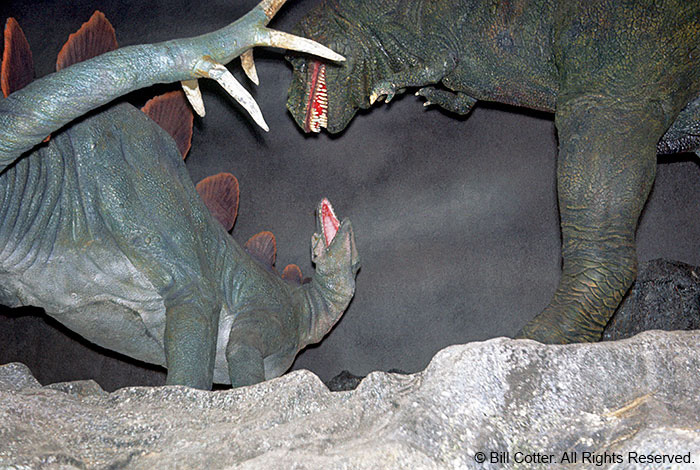 Dinosaur battle Dinosaur battle