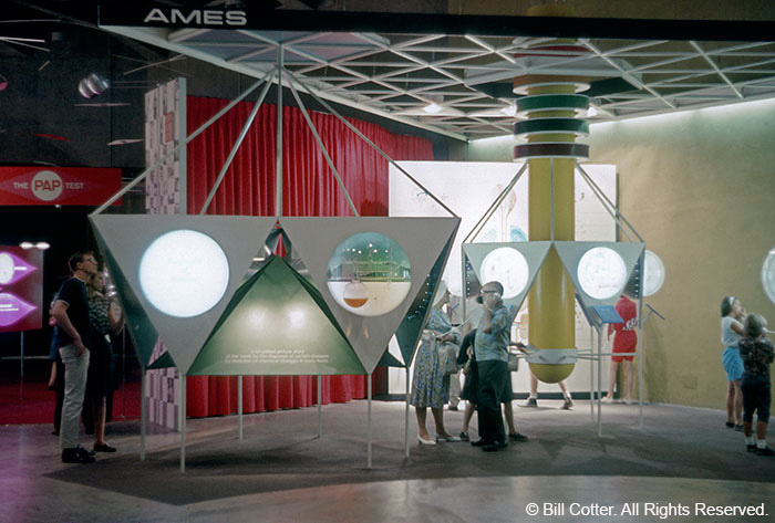 Science display Science display