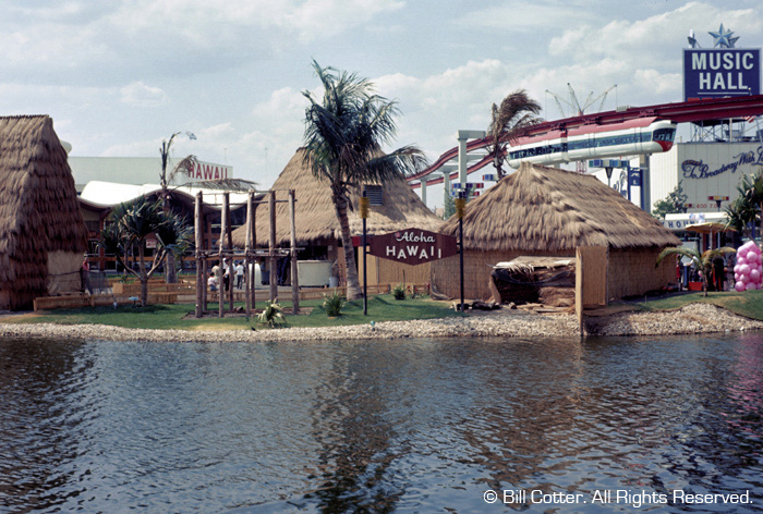 Thatched huts at Hawaii