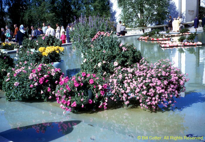 Mormon gardens Mormon gardens