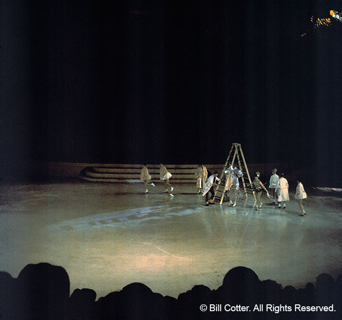 Ice show