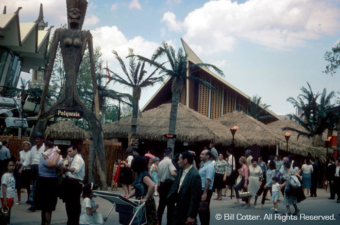 Polynesia - Front view