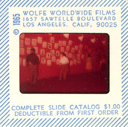 Wolfe Worldwide Films
